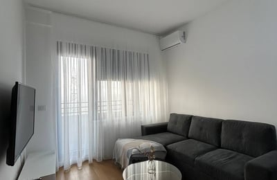 Rent of a furnished 2-room apartment, 45 m², New Belgrade, Serbia